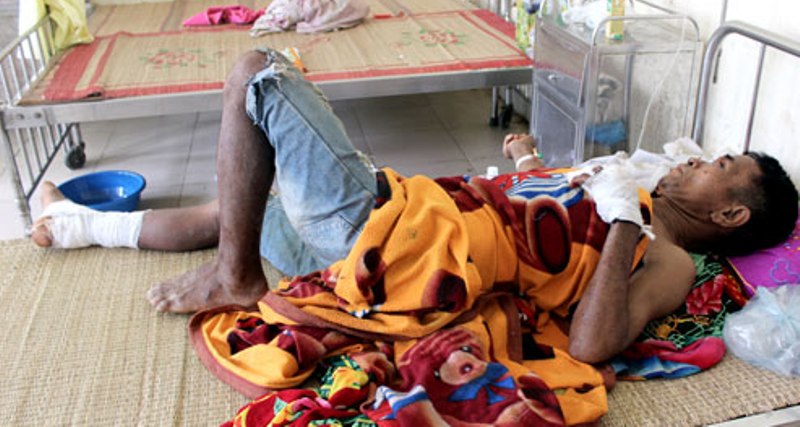 Đi tìm bò lạc, bị lợn cắn bất tỉnh - 1