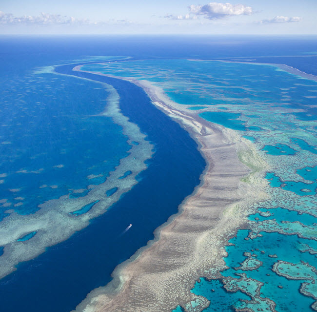 Rạn san hô Great Barrier ở Australia là một trong những kỳ quan dưới nước ngoạn mụcnhất thế giới. Đây là nơi sinh sống của nhiều loài san hô, cá và rùa biển.