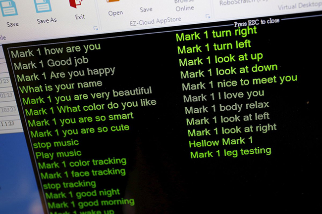 Một số câu nói giao tiếp đã được Ricky Ma lập trình cho  robot.