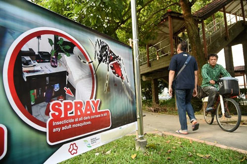 Thái Lan chủ quan trước virus Zika, hàng chục ca nhiễm mới - 1
