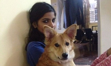 Cô gái từ chối lời cầu hôn vì không được nuôi chó - 1