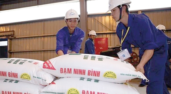 Đạm Ninh Bình xin cứu, Bộ Tài chính nói lời ăn lỗ chịu - 1