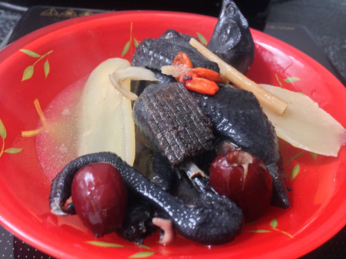 Lạ kỳ món gà tiềm thuốc bắc của má - 2