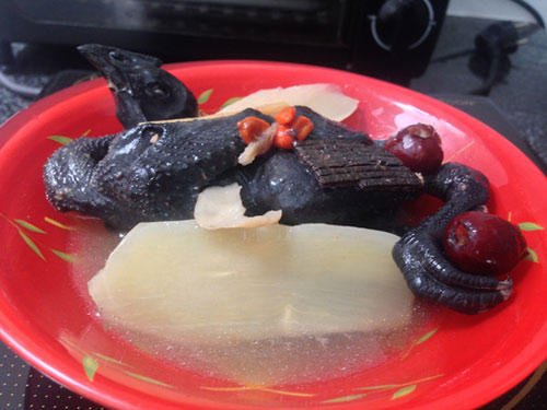 Lạ kỳ món gà tiềm thuốc bắc của má - 3