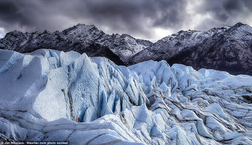 Chiêm ngưỡng những bức ảnh thiên nhiên đẹp nhất năm - 4