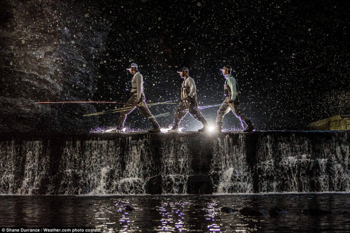 Chiêm ngưỡng những bức ảnh thiên nhiên đẹp nhất năm - 10