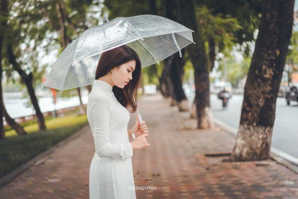 Hoa khôi SV Hà Nội khoe sắc bên hàng cây cổ thụ Thủ Lệ - 2