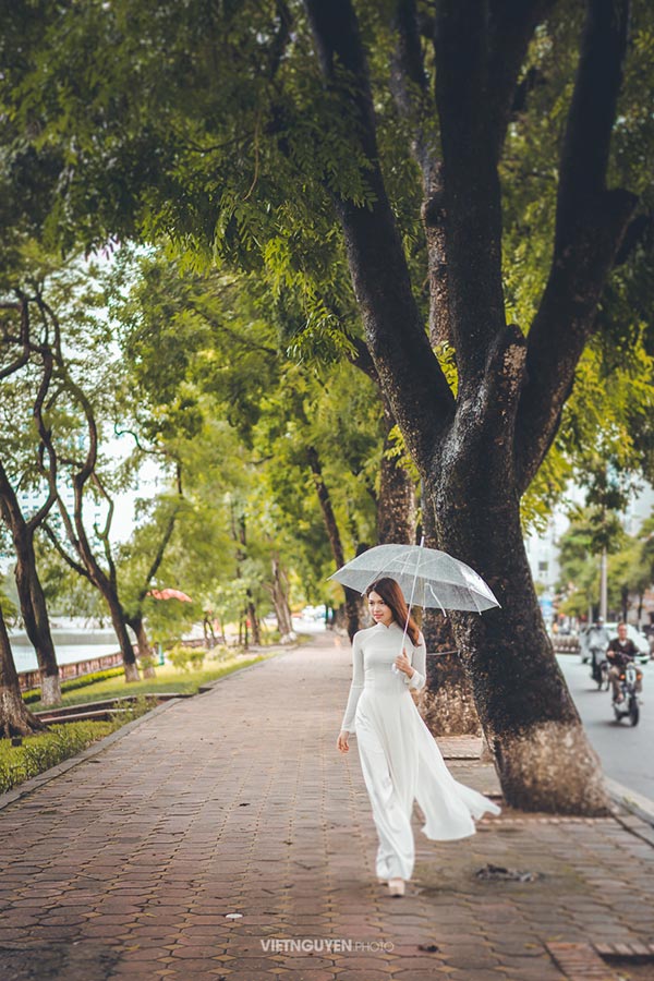 Hoa khôi SV Hà Nội khoe sắc bên hàng cây cổ thụ Thủ Lệ - 3