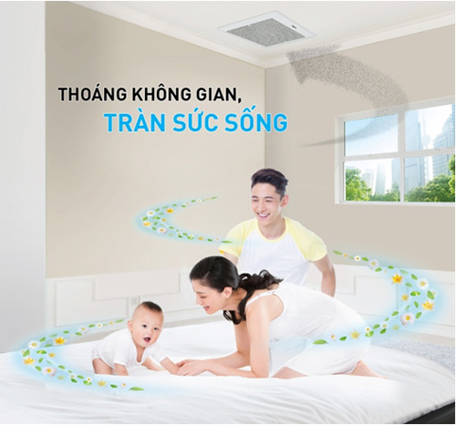Làm thế nào để tạo “lá phổi” cho ngôi nhà của bạn? - 2
