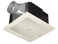 Làm thế nào để tạo “lá phổi” cho ngôi nhà của bạn? - 3