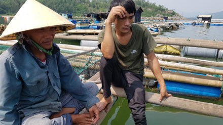 Cá chết ở biển Thanh Hóa: Có lặp lại kịch bản Formosa? - 1