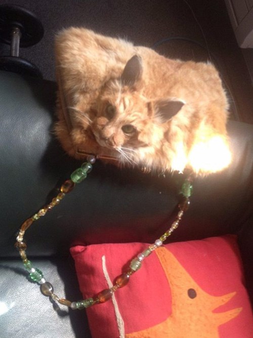 Túi xách 'kinh dị' đính đầu mèo có giá nghìn đô - 2