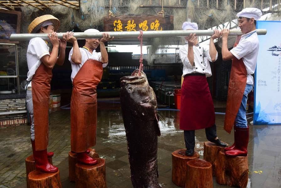 Cá mú khổng lồ nặng hơn 2 tạ sa lưới ngư dân Trung Quốc - 1