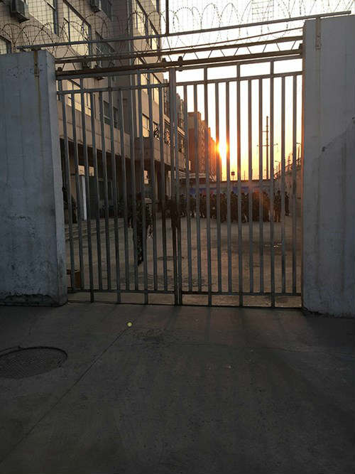 Phẫn nộ con gái 16 tuổi trói mẹ rồi bỏ đói đến chết - 2