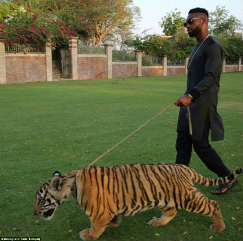 "Tròn mắt" cuộc sống ngập tiền của con nhà giàu Dubai - 13