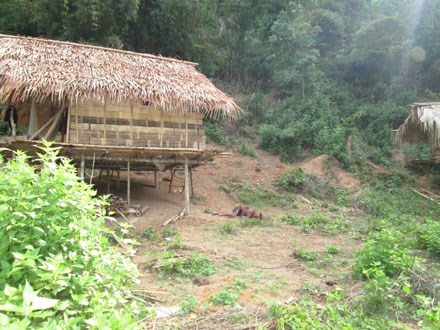 Những vụ thảm án chấn động dư luận gần đây - 3