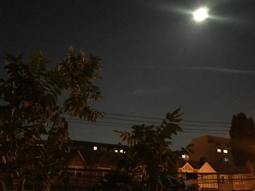 So sánh chi tiết ảnh chụp từ iPhone 7 và Galaxy S7 - 5