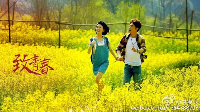 Một số ý kiến cho rằng, Trần Dao quá gầy gò và không hợp vai Trịnh Vy trong khi một số khác lại phản biển rằng, Trần Dao đã lột tả được vẻ trong sáng, dễ thương và rất cá tính của Trịnh Vy trong phim.