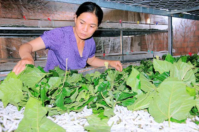 Loài sâu nhìn phát kinh nhưng ai cũng thích vì cho lãi khá - 5