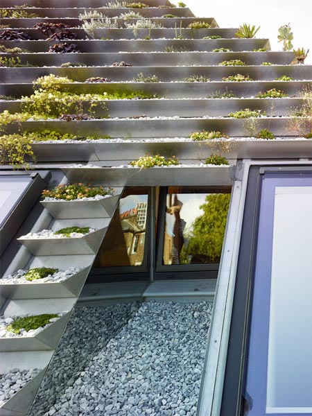 Không phải núi, ở thành phố cũng có "vườn bậc thang" trên mái - 5