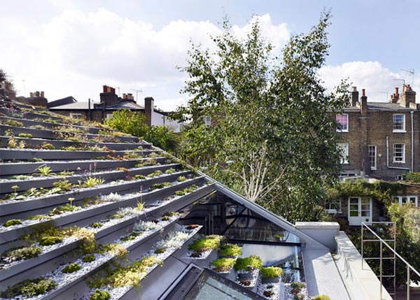 Không phải núi, ở thành phố cũng có "vườn bậc thang" trên mái - 8