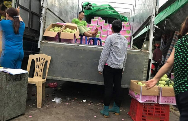 Đào, mận Trung Quốc đội lốt đặc sản Tây Bắc &#34;tung hoành&#34; Hà Nội - 2