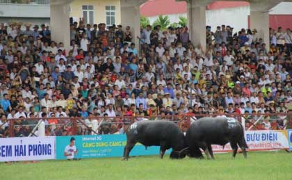 Nóng 24h qua: Facebook các luật sư của Hoa hậu Phương Nga bị đánh sập - 4