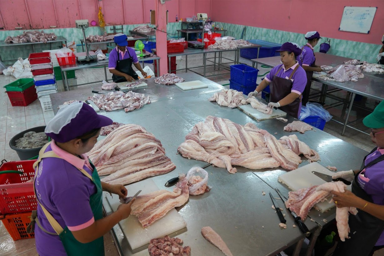 Cảnh nhung nhúc trong trang trại cá sấu lớn nhất Thái Lan - 9