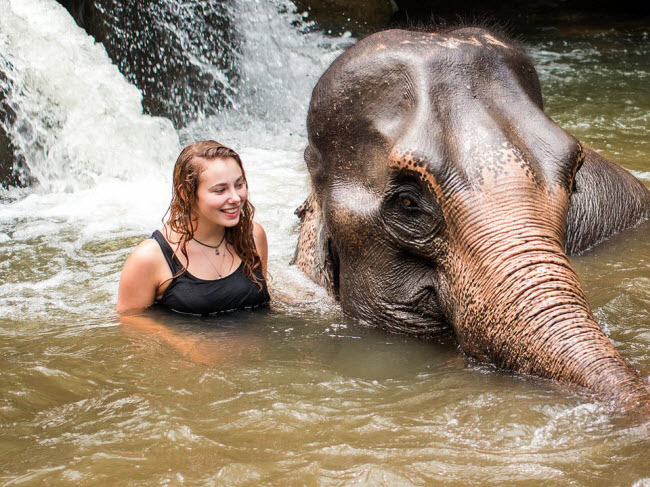 Chiang Mai, Thái Lan:  Tới thị trấn nhỏ ở miền bắc Thái Lan, du khách có cơ hội chăm sóc, tắm và chơi đùa với những con voi từng bị bạo hành tại khu bảo tồn voi ở đây. Một cái ôm bằng vòi từ con vật khổng lổ đủ hàn gắn bất cứ trái tim nào.