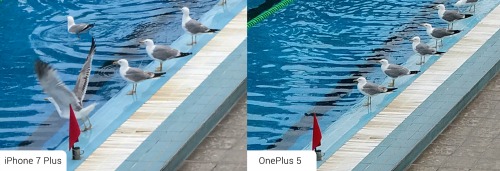 So sánh ảnh chụp từ camera kép của OnePlus 5 và iPhone 7 Plus - 2