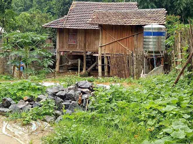 Nóng 24h qua: Nông dân kể chuyện sâu lạ rung cây… hù người - 6