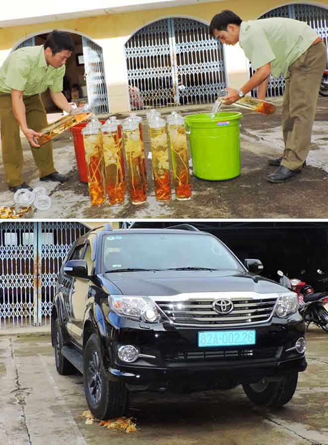 Nóng 24h qua: Nông dân kể chuyện sâu lạ rung cây… hù người - 2