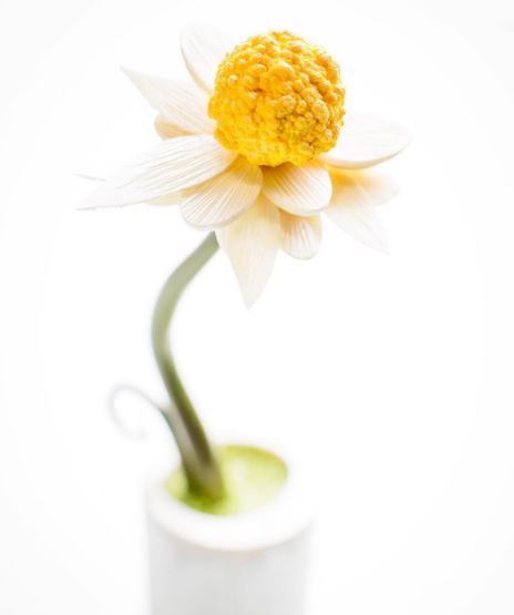 Ai cũng cho rằng đây là quả chanh thật cho tới khi bổ ra - 6