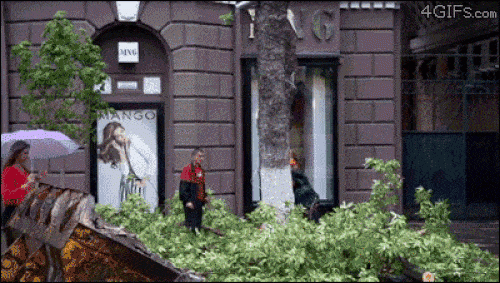 Ảnh động: Thoát nạn khi "thần chết ngủ quên" - 5