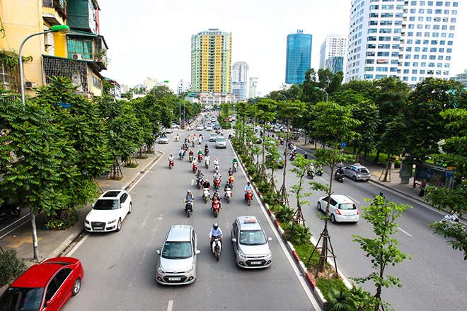 Cây xanh Hà Nội sau một năm trồng mới giờ ra sao? - 7