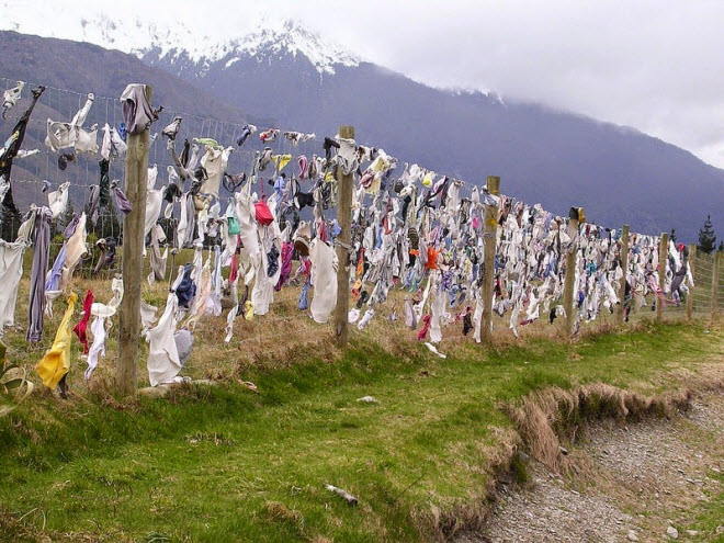 Lạ lùng hàng rào áo ngực hút khách du lịch ở New Zealand - 8