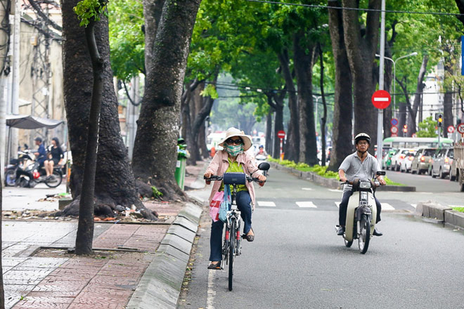 Ngắm hàng cây trăm tuổi đẹp nhất SG trước giờ &#34;khai tử&#34; - 10