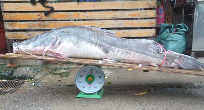 Nóng 24h qua: Bịa đặt án mạng kinh dị, 9X nhận “cái kết đắng” - 6