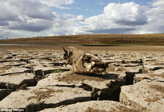 Một vài quả bom hạt nhân cũng đủ khiến cả tỷ người chết? - 2