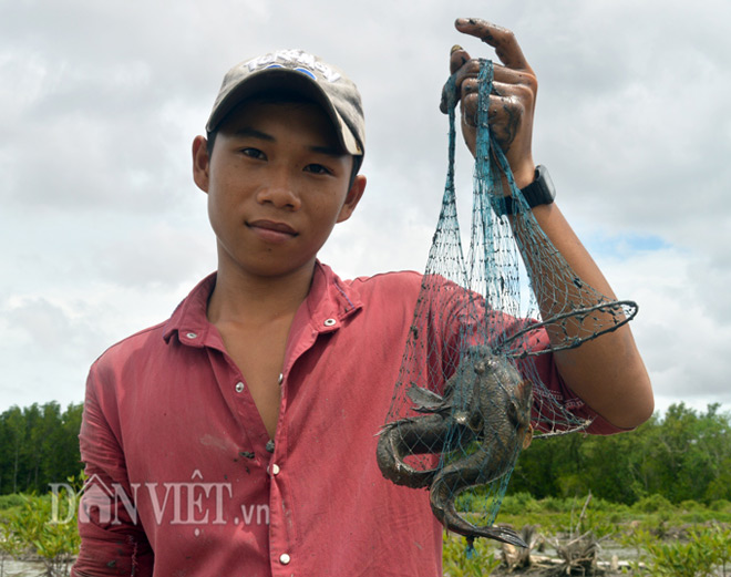 Săn loài cá kỳ lạ nhất hành tinh: Vừa biết lặn vừa biết leo cây - 5