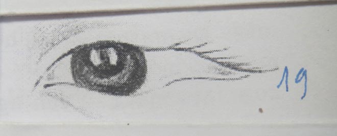 Số phận theo nhân tướng học: Xem tổng thể con mắt - 3