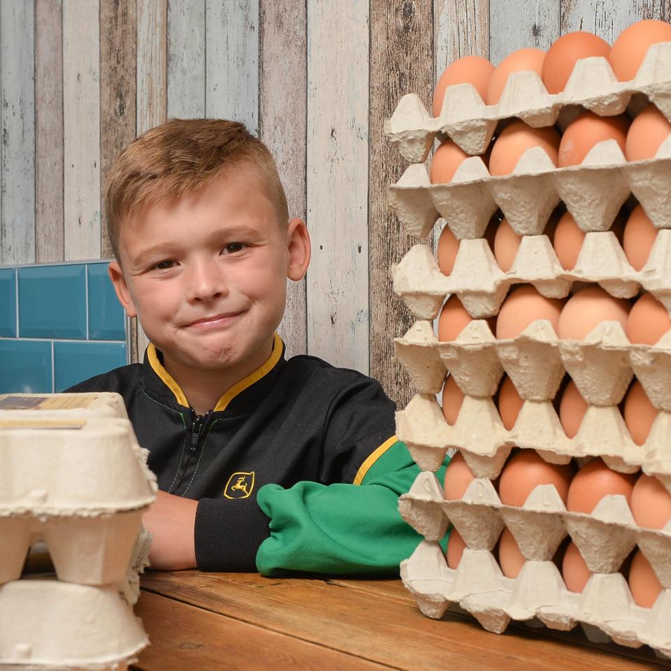 Cậu nhóc 8 tuổi mở doanh nghiệp bán trứng mong thành triệu phú - 1