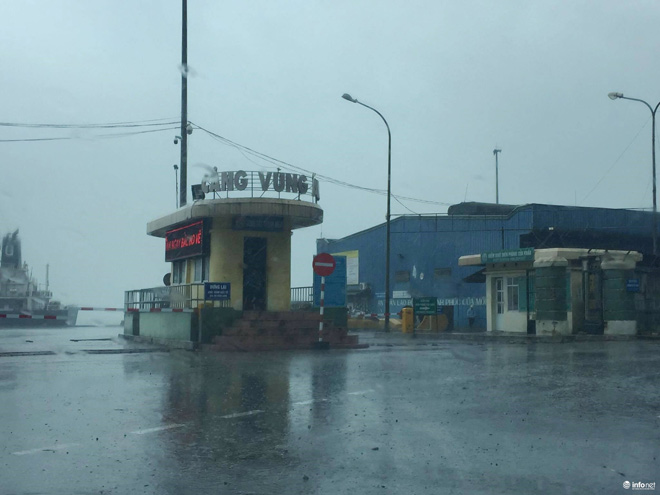 &#34;Mực nhảy Vũng Áng&#34; hối hả chạy bão số 2 - 3