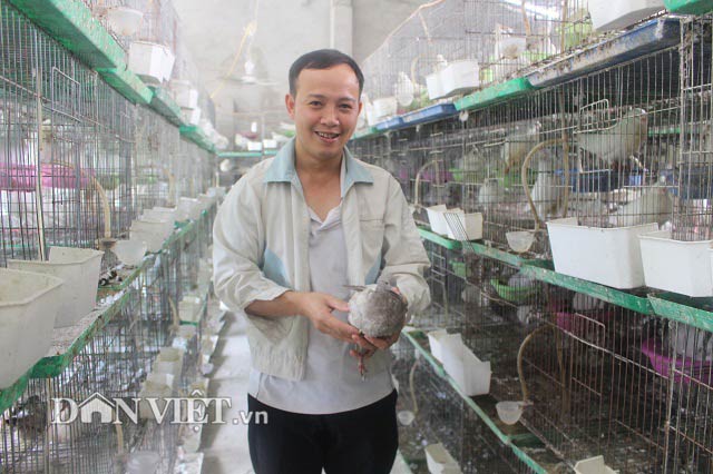 Bắt chim câu ấp trứng…giả, "soái ca nhà người ta" thu 70 triệu/tháng - 4