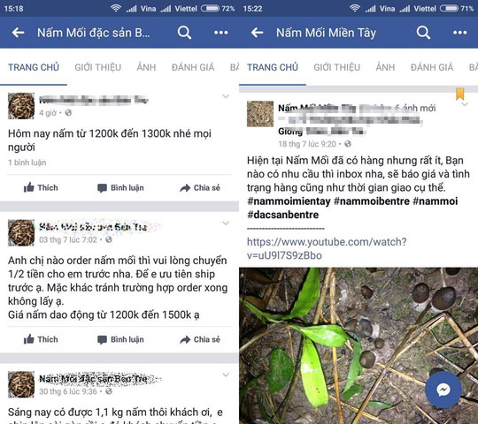 1,5 triệu đồng/kg nấm mối cuối mùa - 2