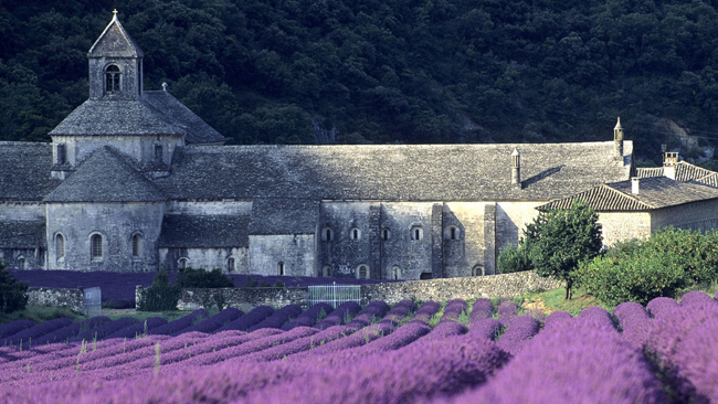 Vùng Provence miền nam nước Pháp trong không khí huy hoàng của nắng hè hấp dẫn hàng triệu lượt du khách từ khắp trong và ngoài nước Pháp mỗi năm. Nằm sâu trong đất liền, cách xa đường bờ biển rực nắng, những cánh đồng hoa oải hương trải dài sau của nhà thờ Cistercian Sénanques từ thế kỷ 12 bao phủ bầu không khí với mùi thơm ngây ngất.