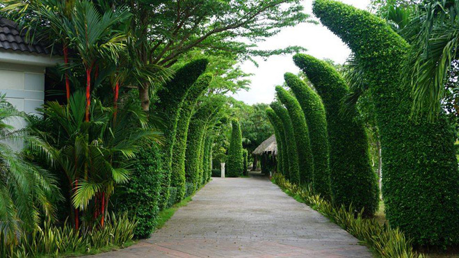 Forever Green Resort – Nơi bình yên của thiên nhiên - 3