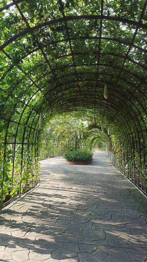 Forever Green Resort – Nơi bình yên của thiên nhiên - 8