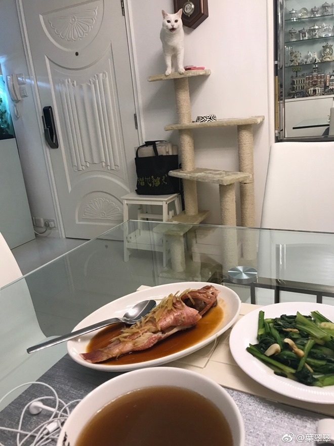 Bị Triệu Vy giật bồ, cuộc sống của hoa hậu Hong Kong thay đổi không ngờ - 2