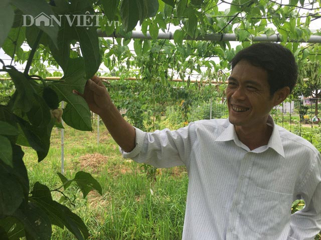 Làm nhà lưới "nhốt" rau sạch, nhà nông có thu nhập cả chục triệu/tháng - 2